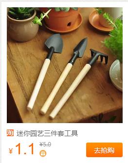 1.1包邮,迷你园艺3件套 1.1包邮,迷你园艺3件套