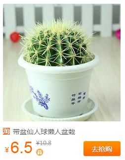 1元包邮夜灯、懒人手机支架，仙人球等