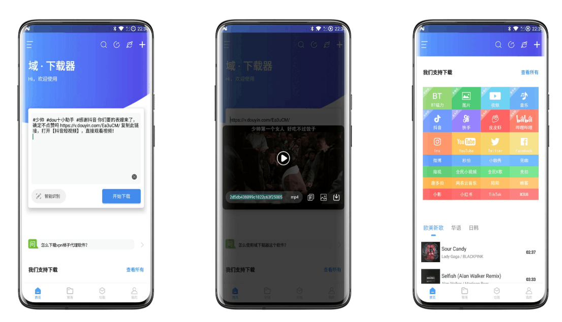 域下载器破解版最新 支持短视频平台无水印解析