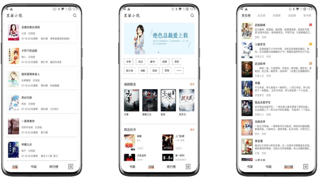 黑莓小说破解版
